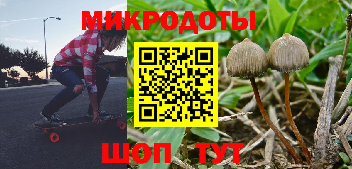 Азов  Псилоцибиновые грибы Psilocybine cubensis  Вход с VPN  Галлюциногенные грибы Magic Shrooms 